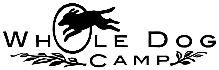 Whole Dog Camp in Freeport Maine