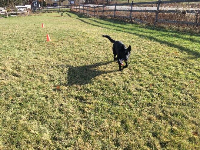 1311021C-8A5E-40B7-9549-171F6BA4E364