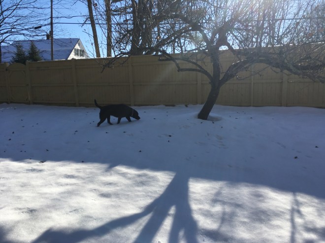 7A8FB71E-7A01-4A3F-8C32-AB9B07C64036