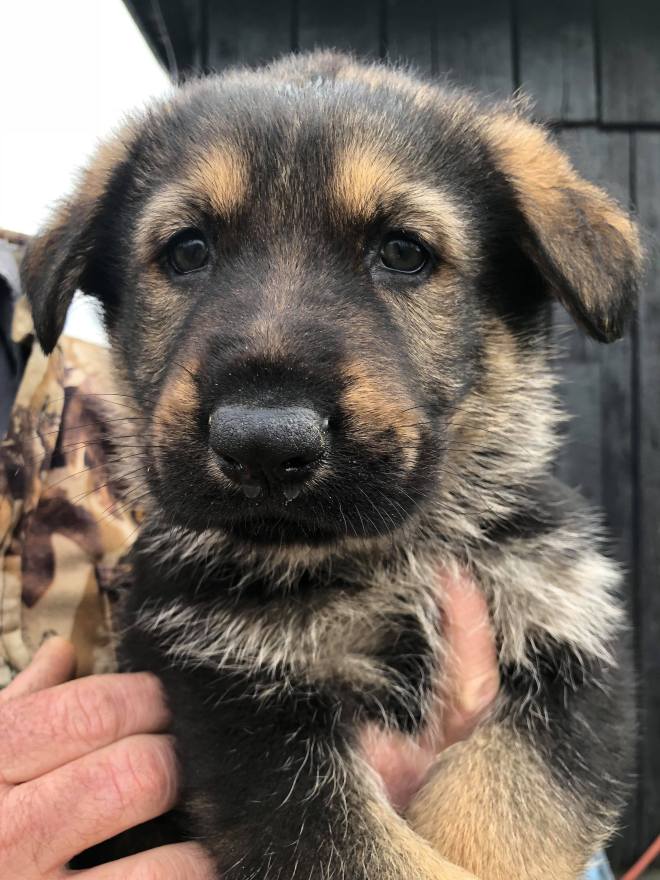 27140714_10214692136127914_666002942_o