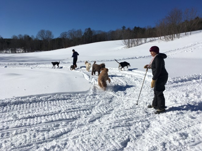 0D331F6E-B6ED-4A41-B82C-0C29AB773C78