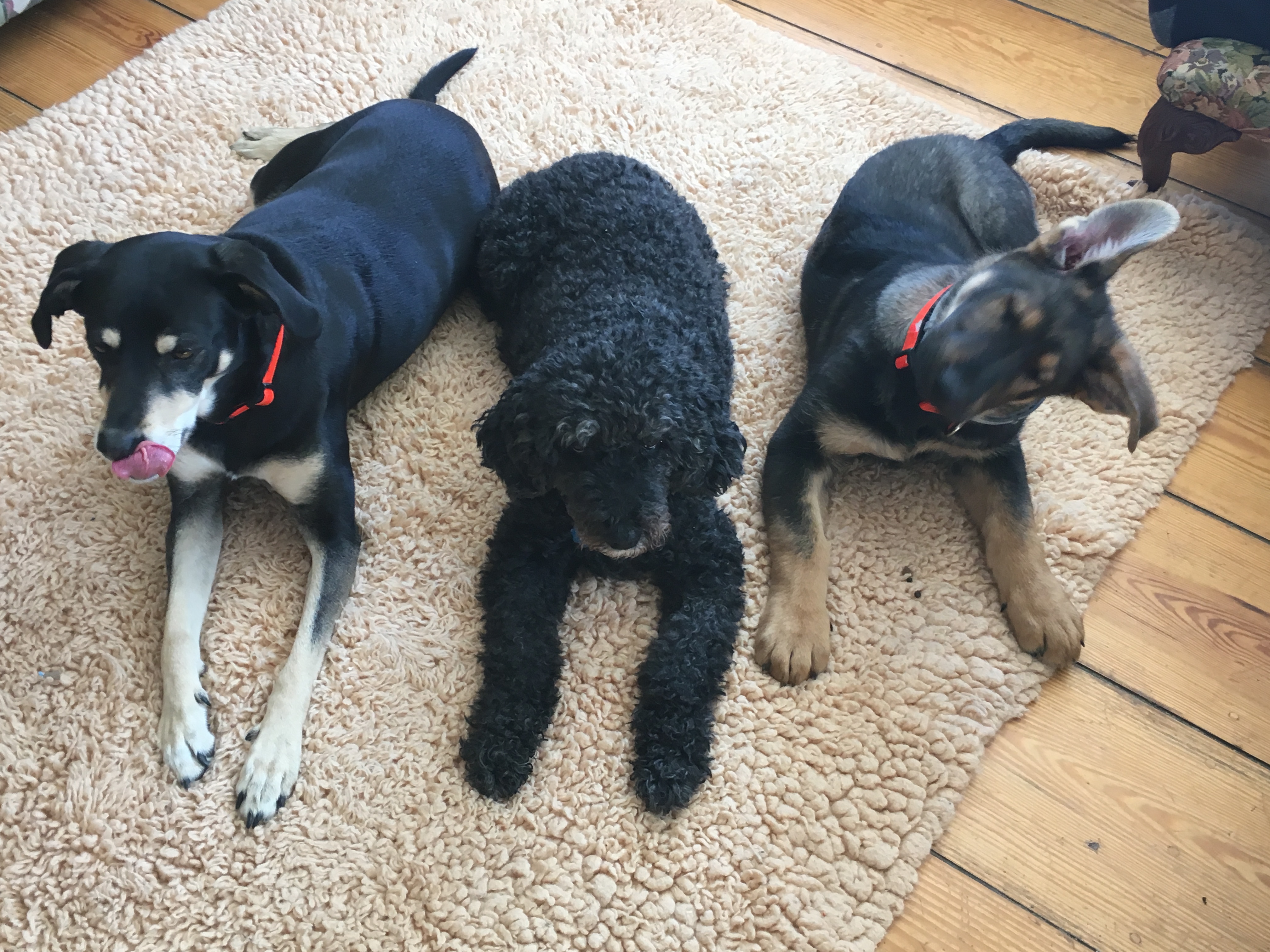 2C108FD7-E1F0-4124-9F25-659BBC5CC775