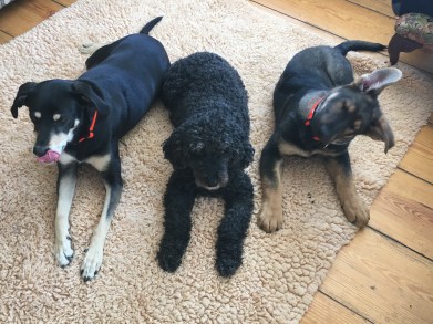 2C108FD7-E1F0-4124-9F25-659BBC5CC775