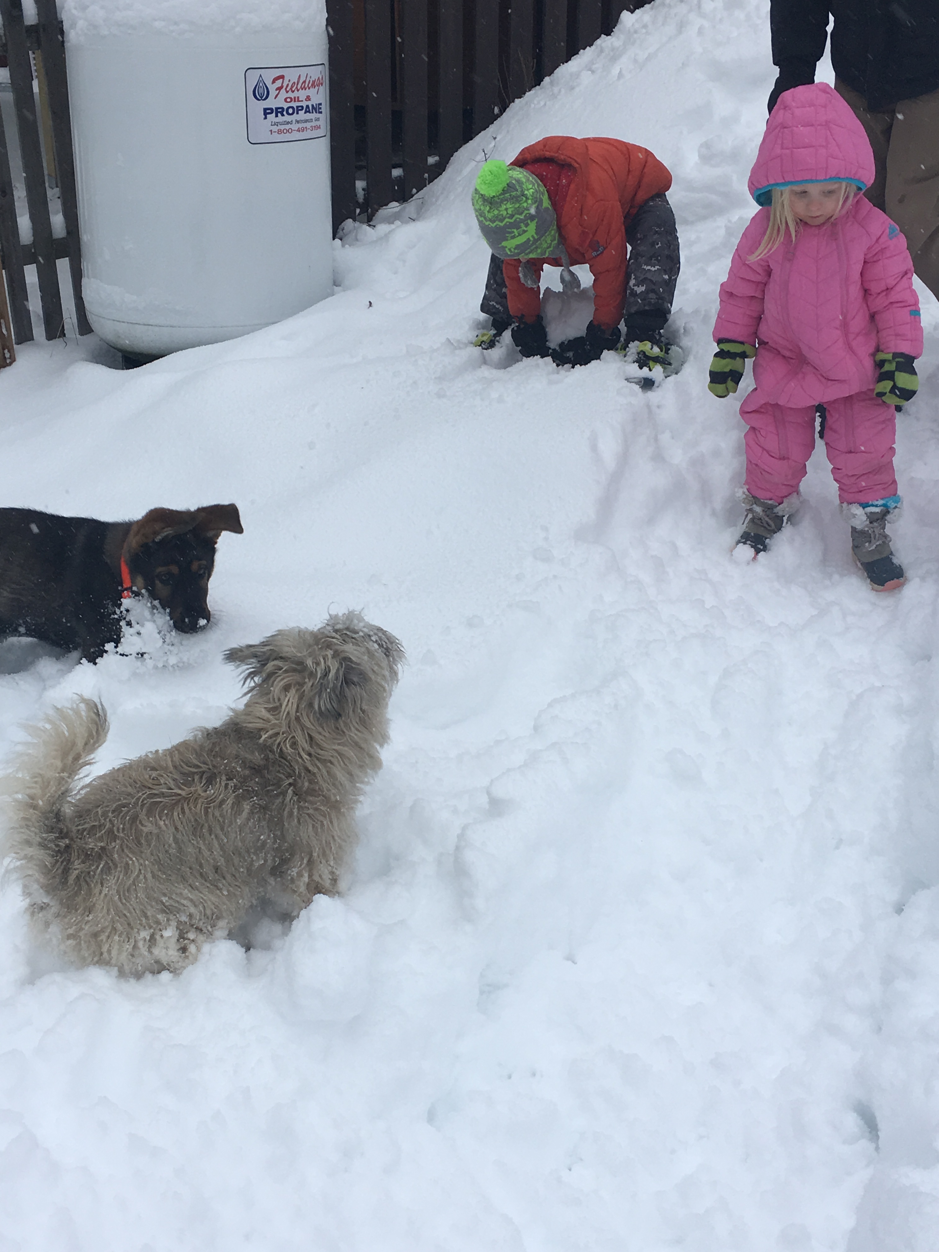 76B8DCC1-3A1C-40DE-9AAA-6C50ABA57624