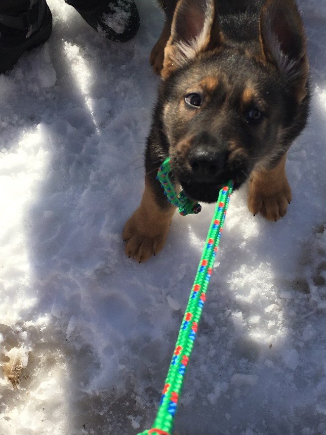 A1DA808C-4437-4478-898B-E5170196F048