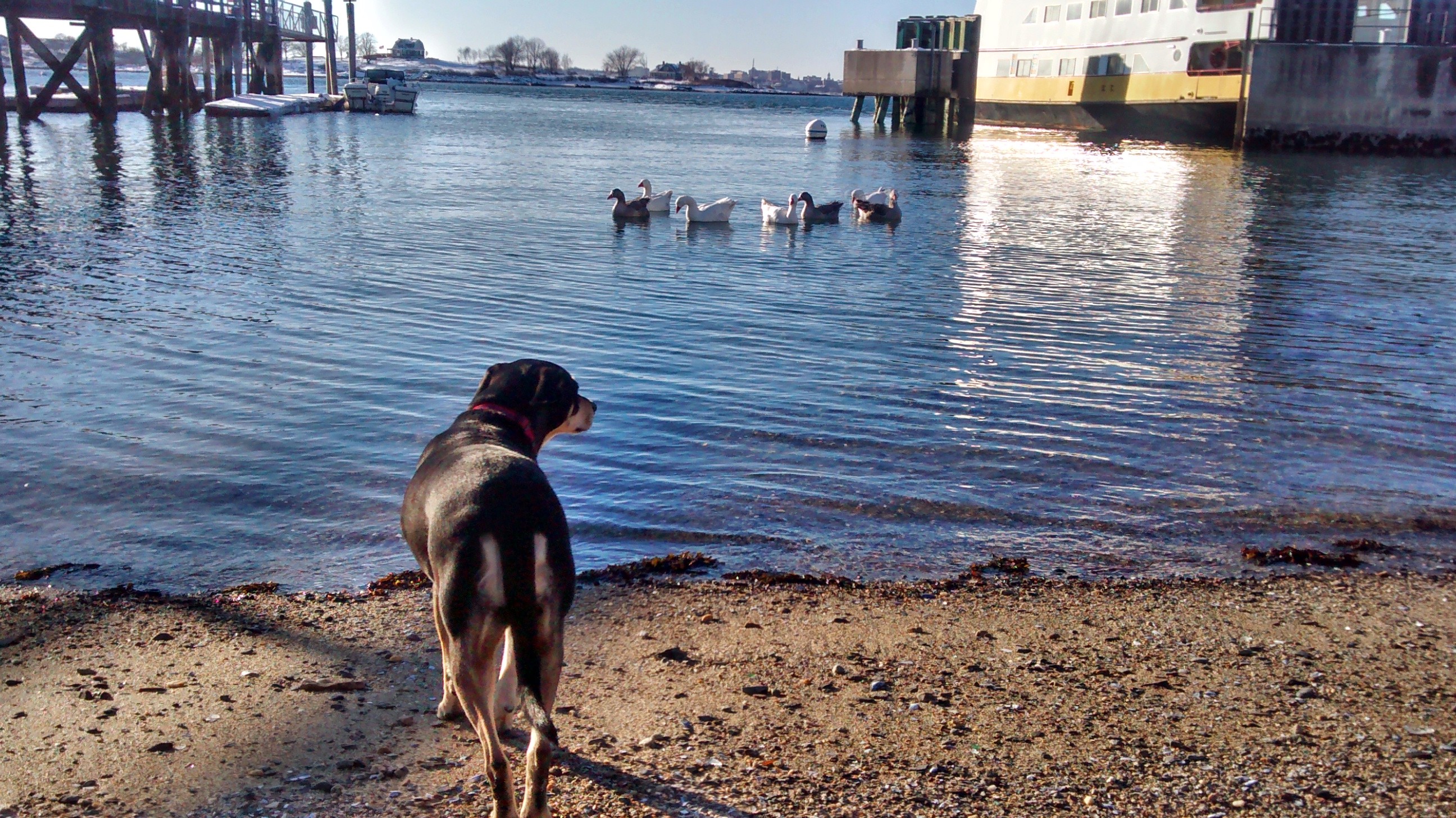 img_20150113_144457775_hdr