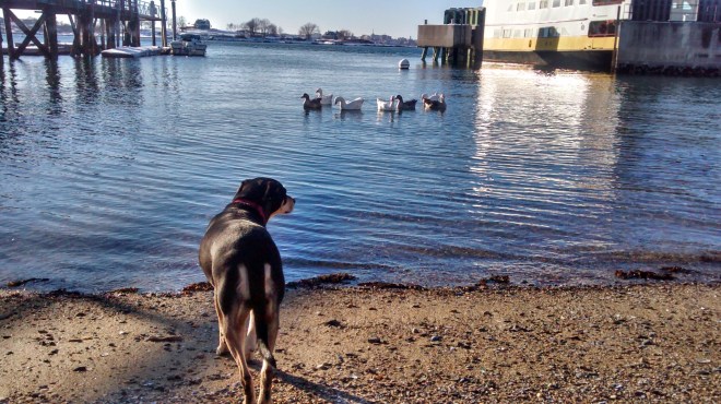 img_20150113_144457775_hdr