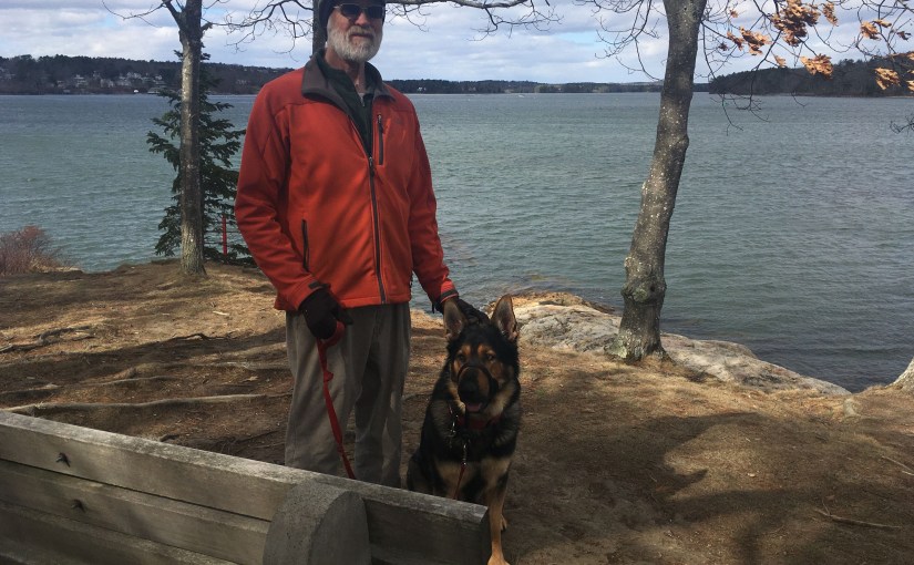 Why do people teach their dogs to pull on the&nbsp;leash?