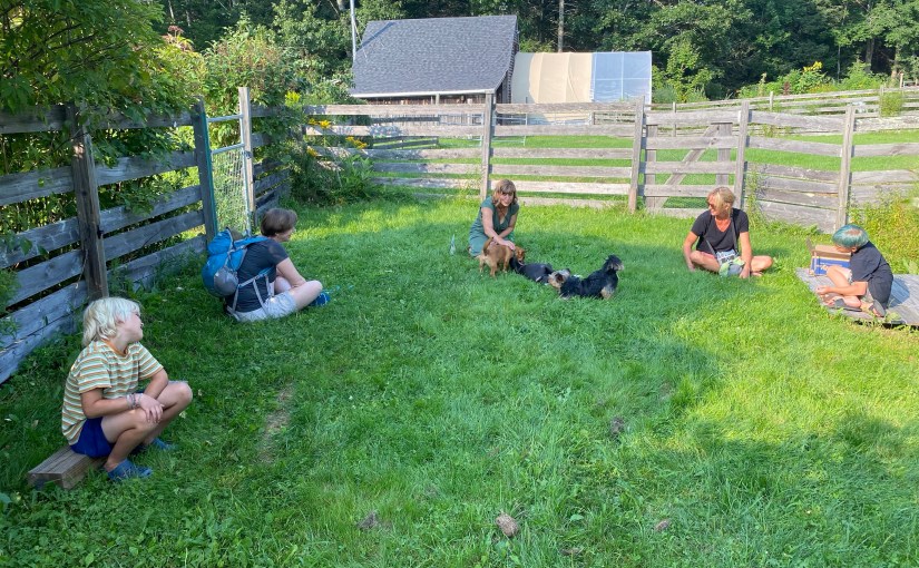 My experiences with electric (underground or “invisible”) fences