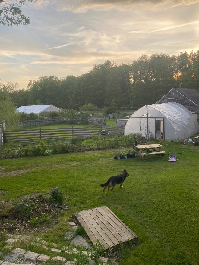 Whole Dog Camp in Freeport, Maine